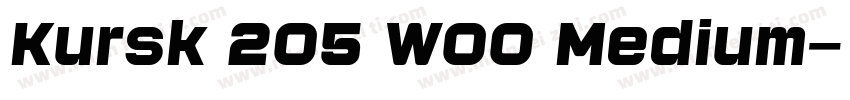 Kursk 205 W00 Medium字体转换